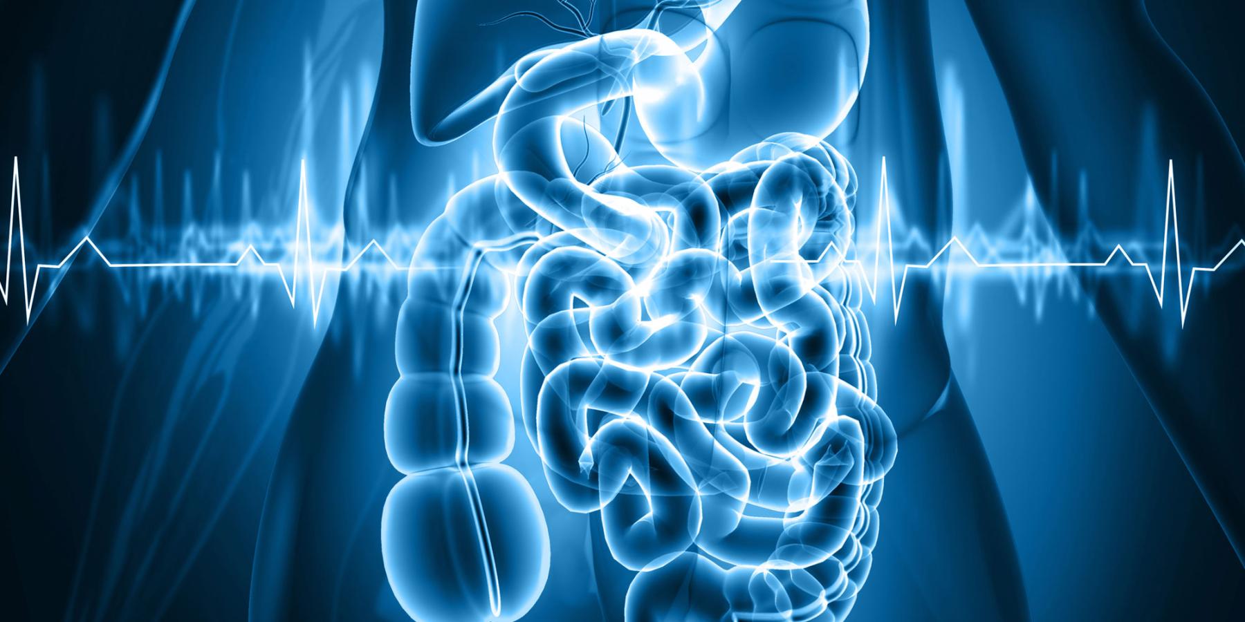 Come monitoraggio e sanità digitale stanno migliorando la gestione dell’insufficienza intestinale cronica
